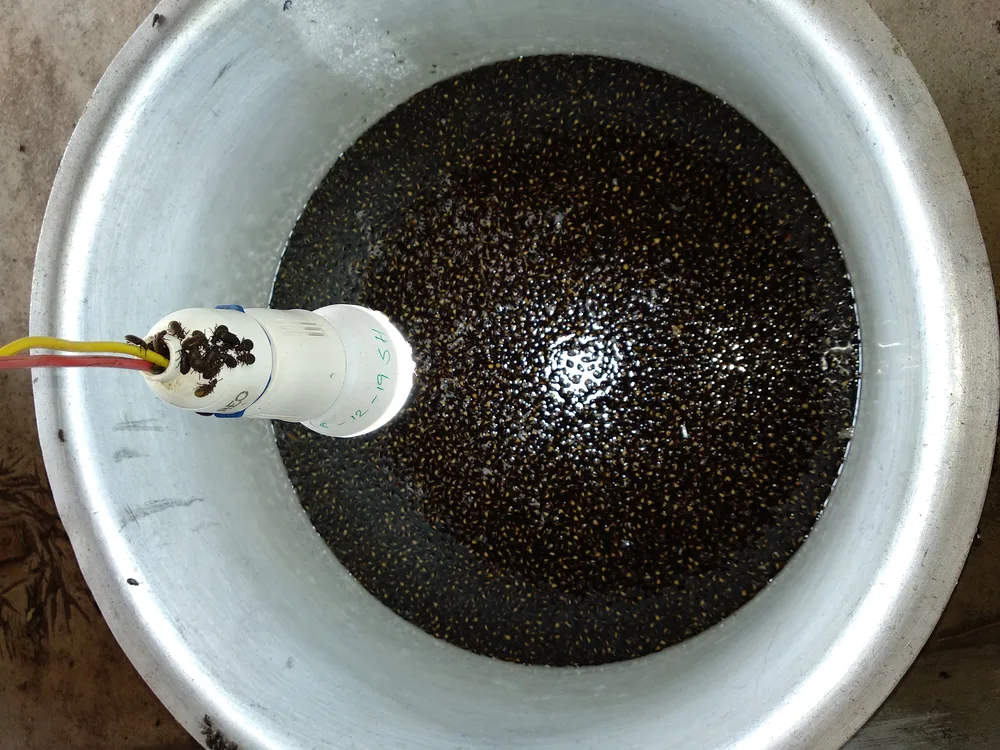 Dry Ice for Protection Against Insects: A Natural Pest Control Method