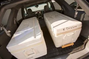 Mastering Food Storage With Dry Ice: Your Key to Freshness and Flavor