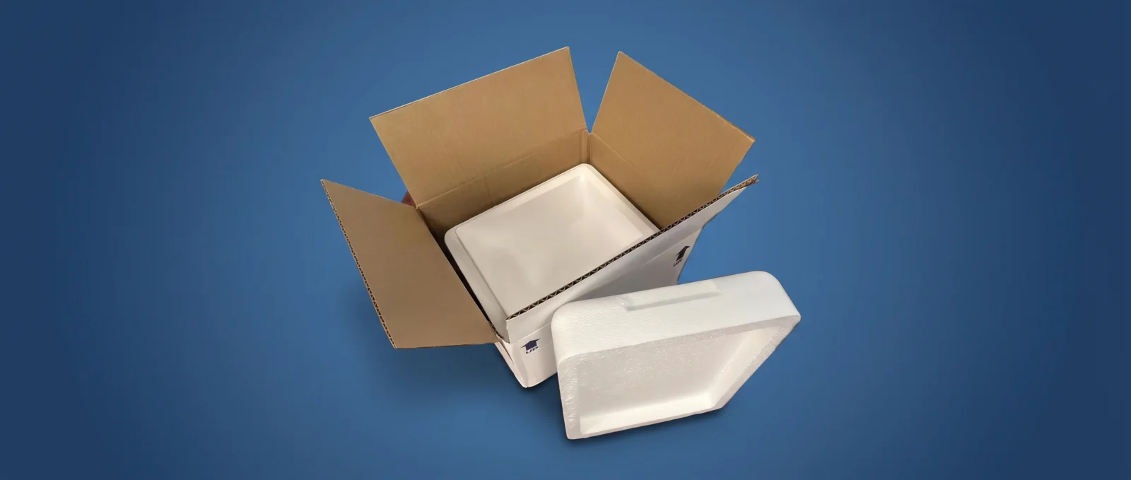 Pre-molded insulated cooler inside its outer shipping carton, lid alongside