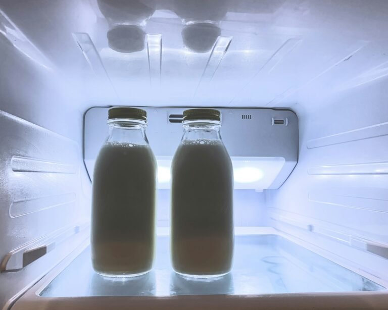 how to ship frozen breast milk