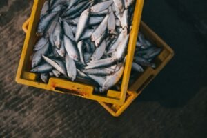 how to ship fish